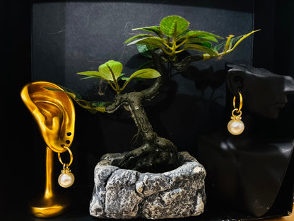 "Golden Pearl – Softness & Refinement" Earrings